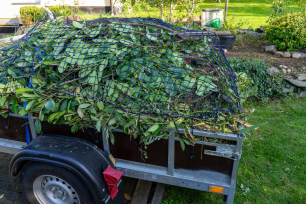 Best Estate Cleanout  in Oak Forest, IL